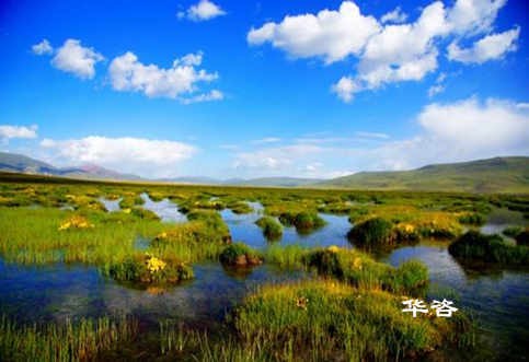 長沙水土保持？湖南省水土保持編制專業(yè)公司_10年專注水土保持報告的編制。